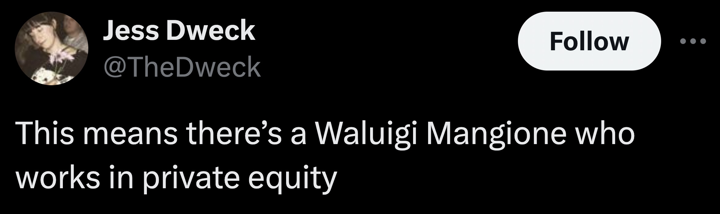 moon - Jess Dweck This means there's a Waluigi Mangione who works in private equity